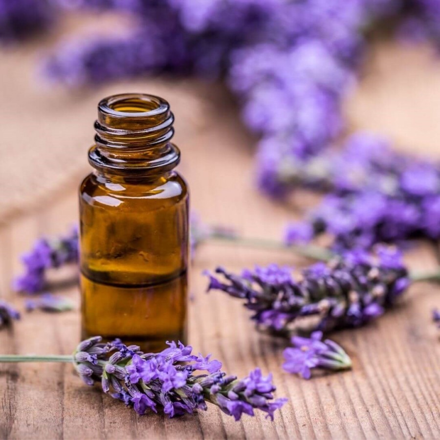 Lavender Oil