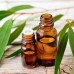 Eucalyptus Oil