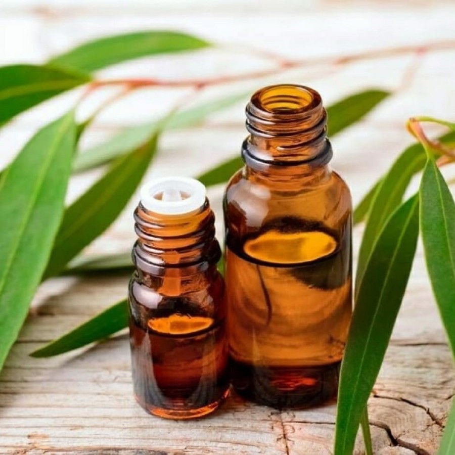 Eucalyptus Oil